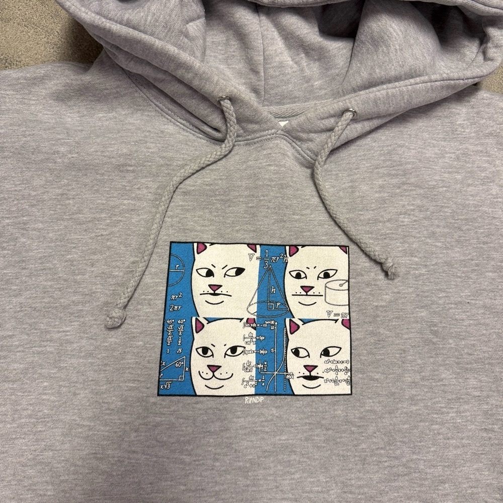 RIPNDIP Memory Bank Hoodie Sweatshirt Ash Heather Gray Grey Math Equations Cat - Picture 2 of 4